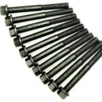 WhatsApp Image 2024 02 08 at 2.40.48 PM 1